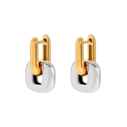 Gold & Silver Link Earrings