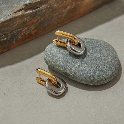 Gold & Silver Link Earrings