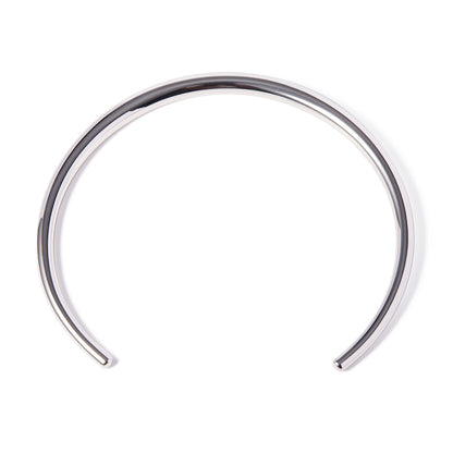 Sleek Silver Torque Necklace
