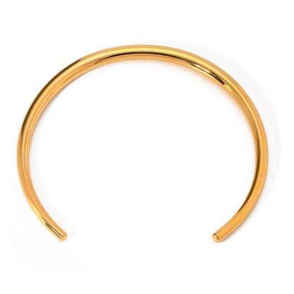 Sleek Silver Torque Necklace